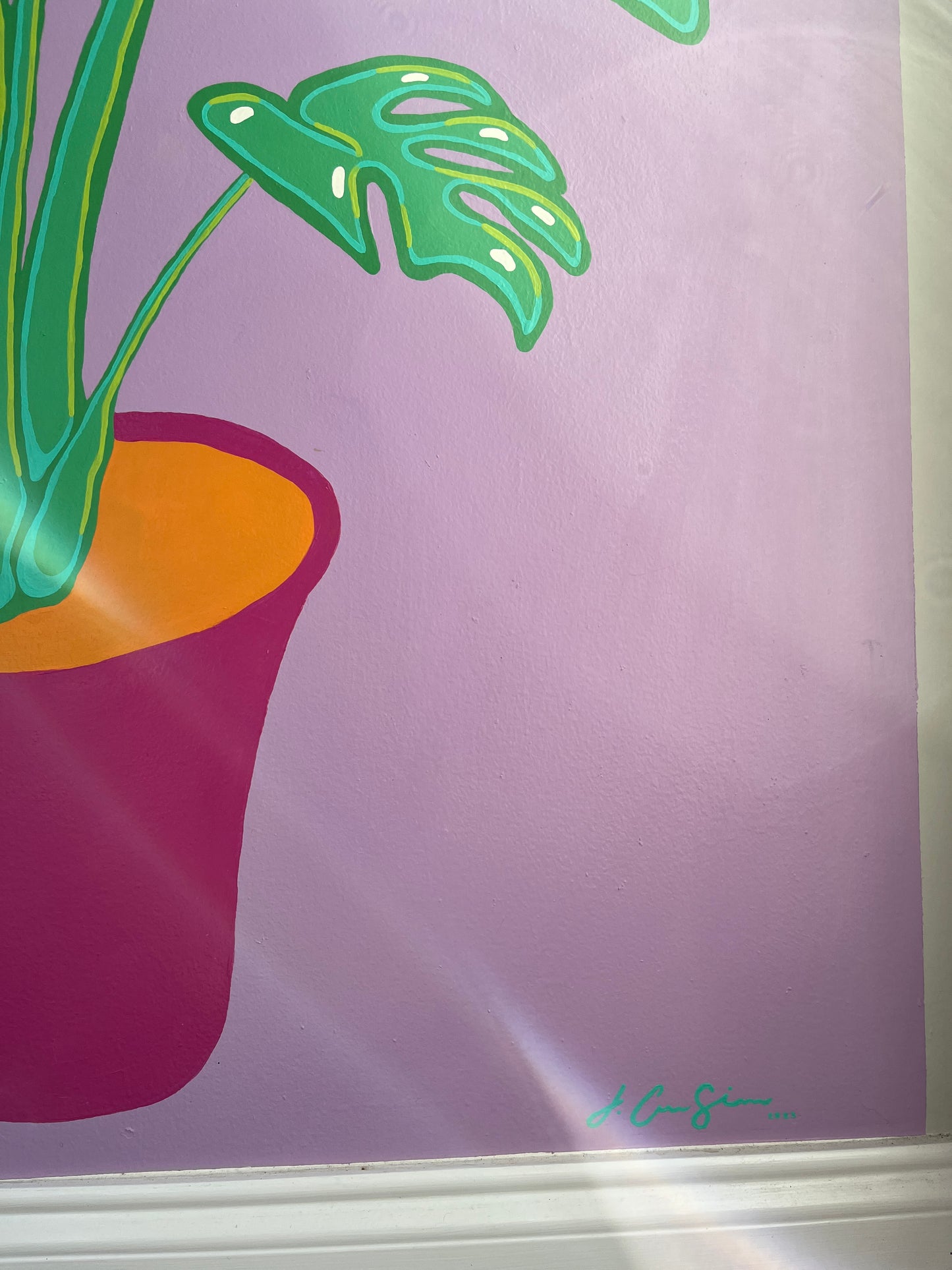 Monstera Height Chart